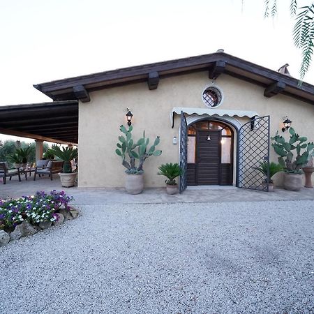 Casa Degli Ulivi Bed & Breakfast Cerveteri Exterior photo