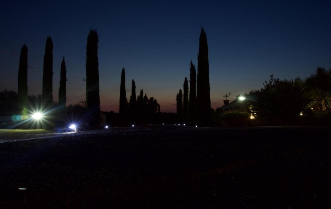 Casa Degli Ulivi Bed & Breakfast Cerveteri Exterior photo