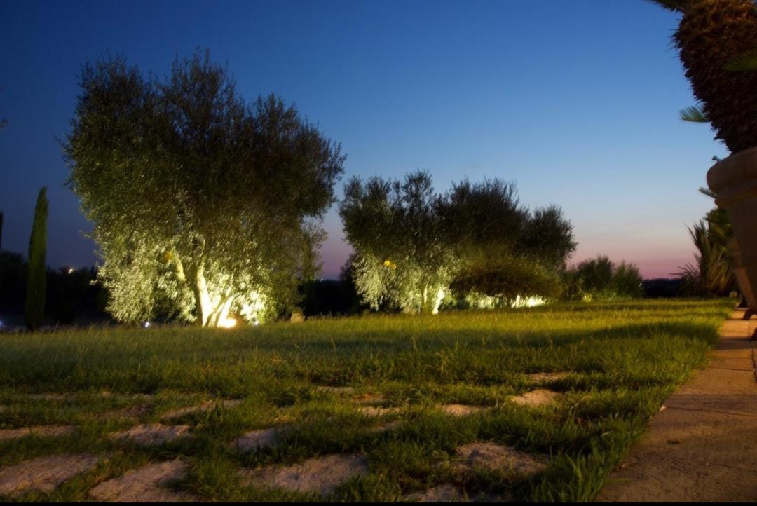 Casa Degli Ulivi Bed & Breakfast Cerveteri Exterior photo