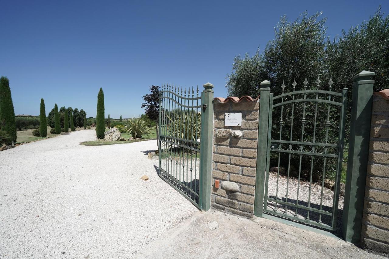 Casa Degli Ulivi Bed & Breakfast Cerveteri Exterior photo